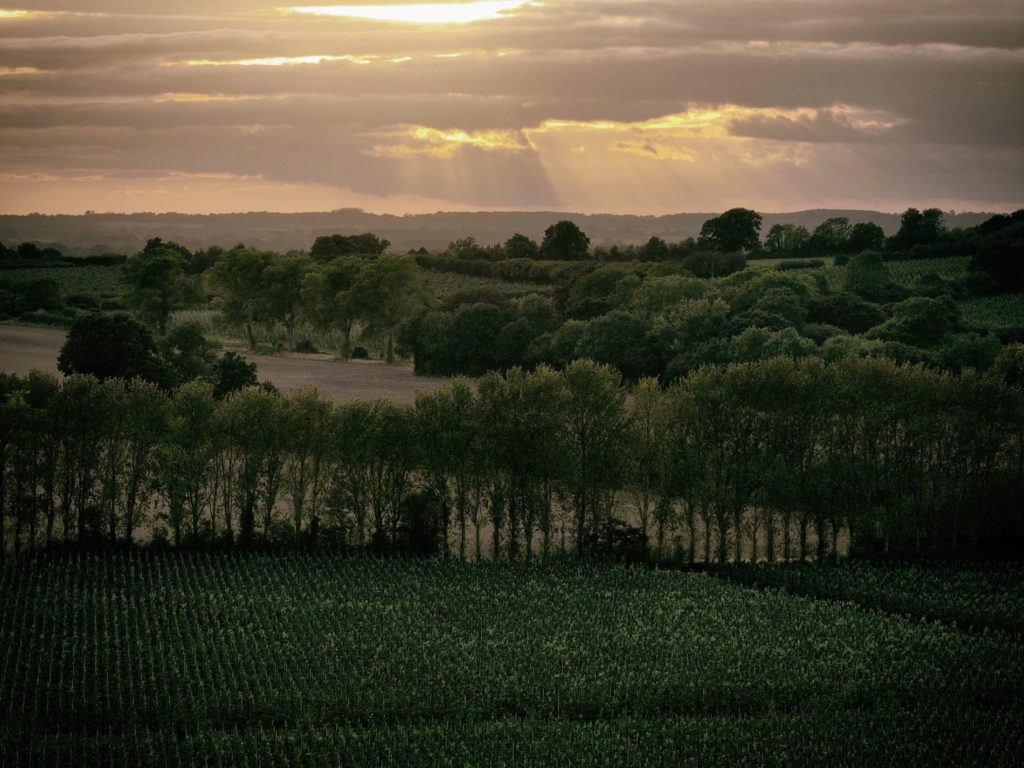 Domaine Evremond Taittinger