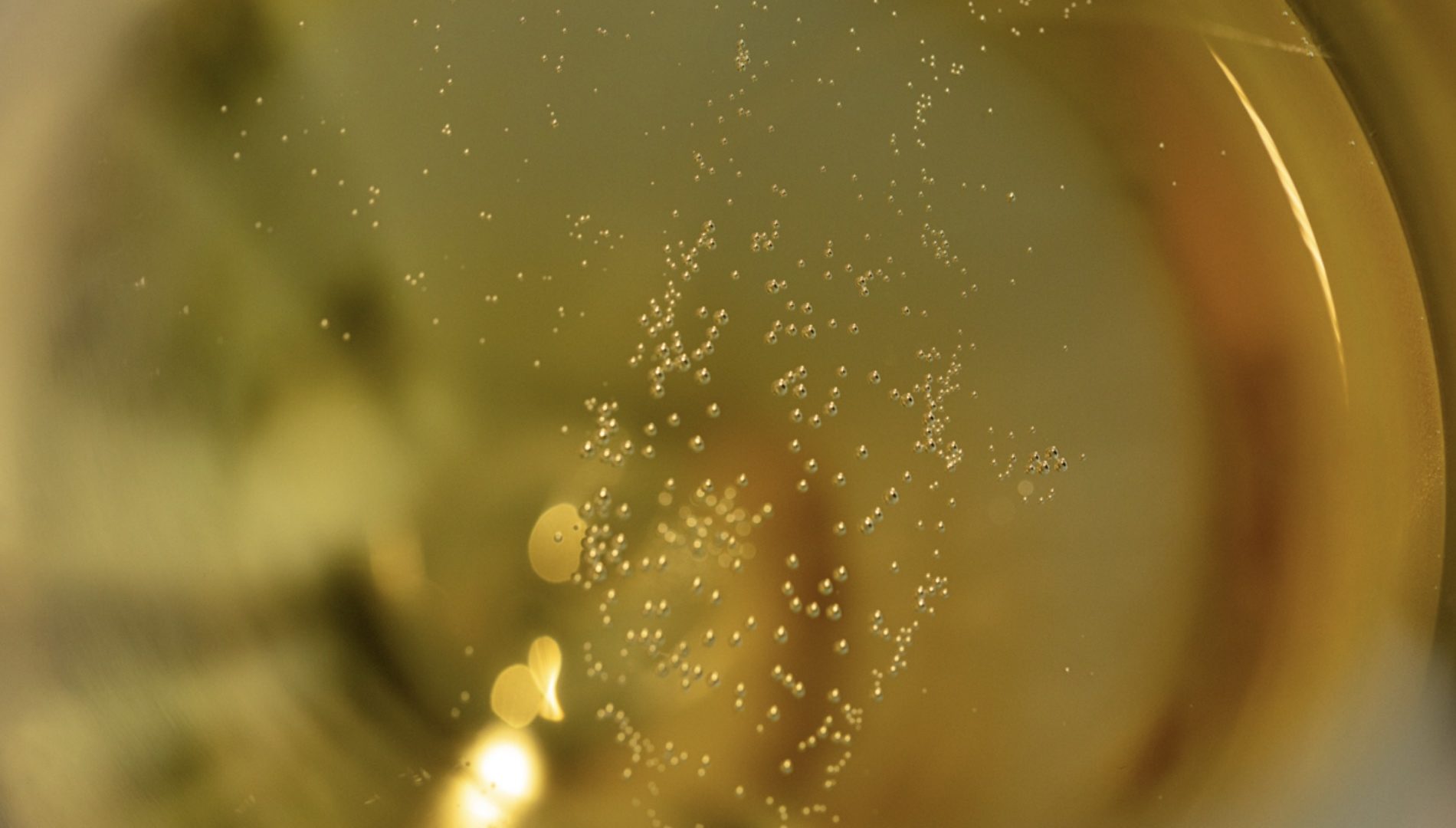 Atelier Jeu d'assemblage - Taittinger