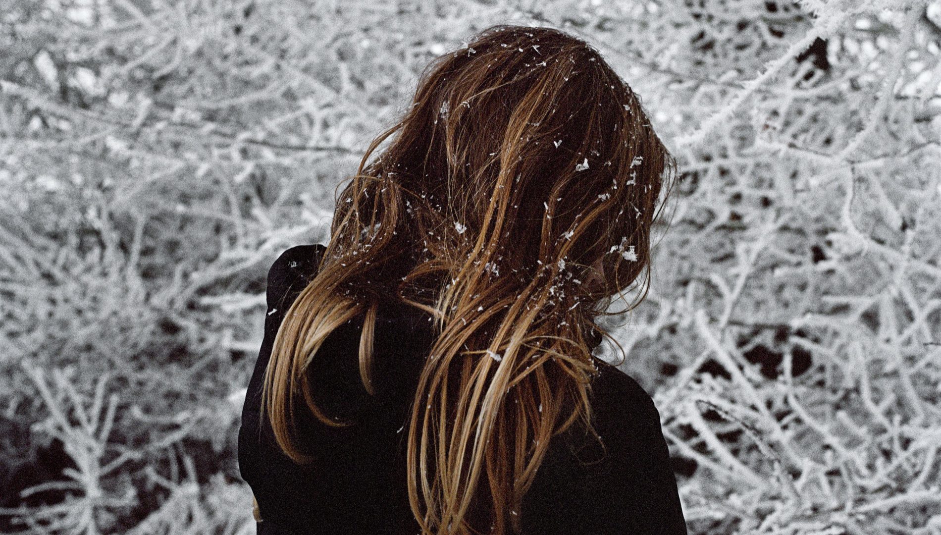 Charlotte-Audoynaud-Process-Editions-Taittinger